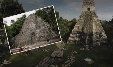 "Maya Sunağı Çizimleri Şaşırtıcı Sırlarını Ortaya Çıkarıyor"