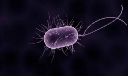 "Yeni Mikrop Türü Dünyanın Kurtuluşunu Müjdeliyor: Devrim Başladı!"