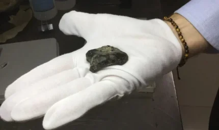 140 Bin Yıllık İnsanlık Tarihine Yeni Bir Bakış Açısı