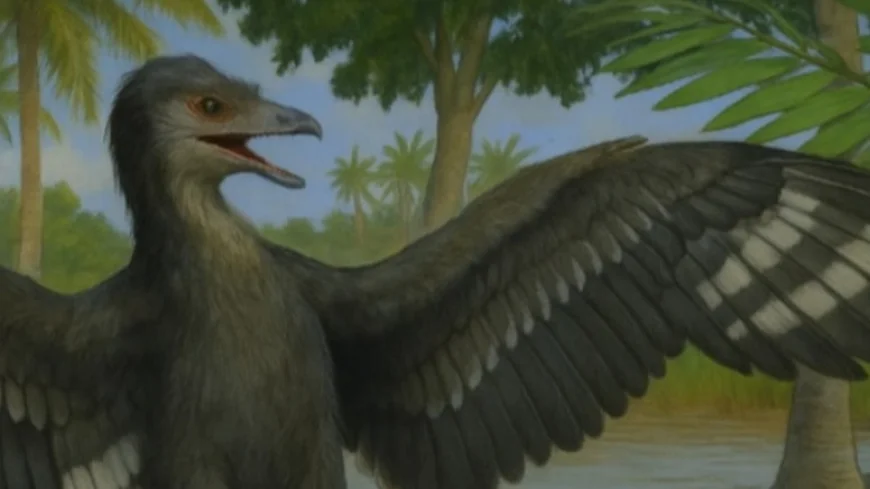 Dinozorun Boyutuyla İlgili Sırrı Aydınlatılıyor