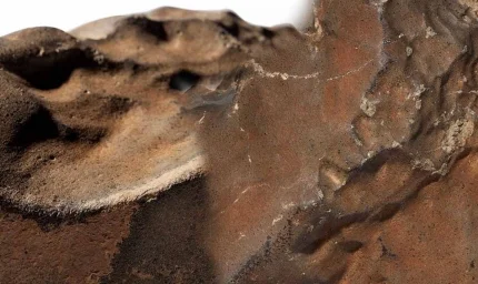 Mars'tan Dünya'ya düştü: Rekor fiyata satılıyor