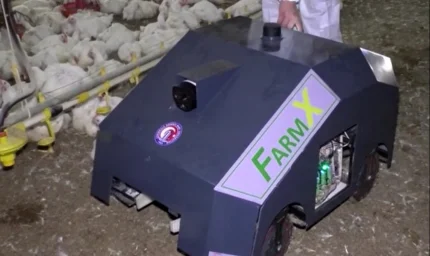 Türk mühendislerden 'akıllı kümes' hamlesi: Salgınlar robotla önlenecek