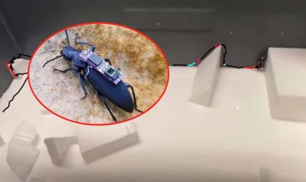 Adı 'Zooborg' ama ona 'umut' diyorlar! Depremde binlerce kişiyi kurtaracak