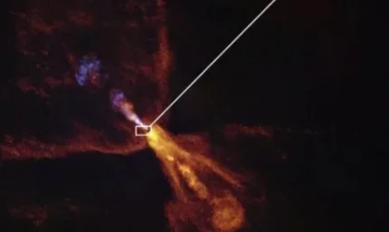 Doğum anı ilk kez gözlemlendi: Tarih yeniden yazılacak...