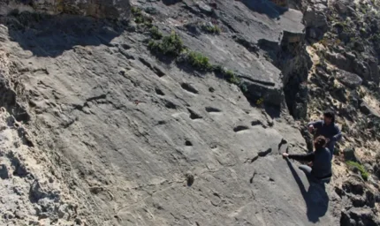 Sahilde keşfedildi: Tam 78 bin yıllık