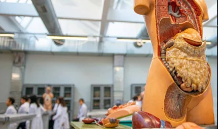 Bu organ hem vücudumuzun en hızlı yaşlanan organı, hem tüm vücudun kaderini belirliyor!