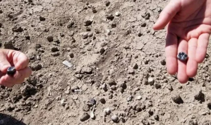 Farklı insan türünün 2.8 milyon yıllık dişleri bulundu