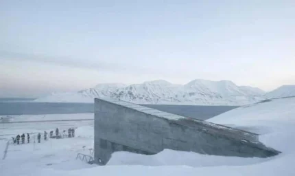 Sadece 6 haftada 62 milyar ton buz kaybetti, tohum kasası tehlikede!