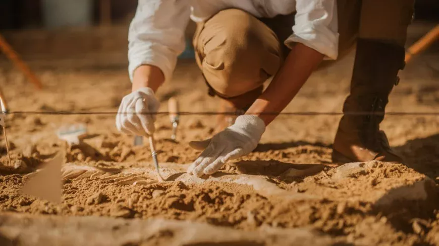 13 bin yıllık mamutların DNA'sı bilim insanlarını şaşırttı