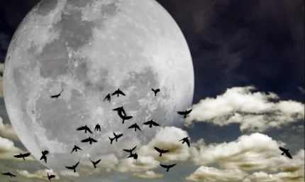 Yüzlerce tür yok olmak üzere: Terk etmeye başladılar