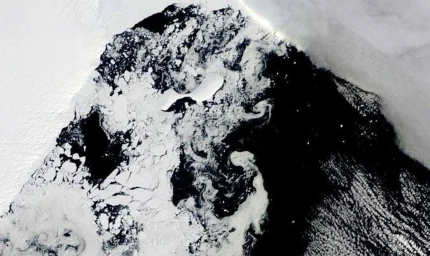 Dünyanın en yaşlı hayvanı Antarktika'da bulundu, yaklaşık 2 metre boyunda