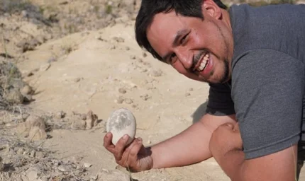 Sanki dün bırakılmış gibi... 70 milyon yıllık dinozor yumurtası bulundu