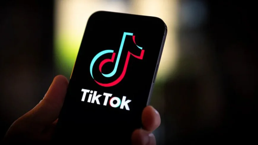 TikTok 189 milyondan fazla videoyu yayından kaldırdı