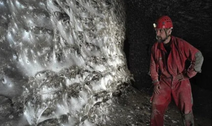 Dünyanın en büyük örümcek ağı bulundu: 111 bin böcek aynı yerde yaşıyor