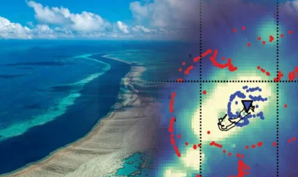 Anahtar, okyanusun 50 km derinliğinde yatıyor! Tüm beklentileri alt üst edecek