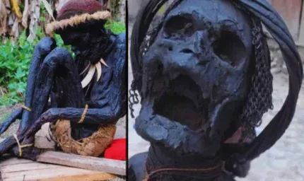 Tarih kitapları baştan sona değişecek! 12 bin yıllık sır çözüldü