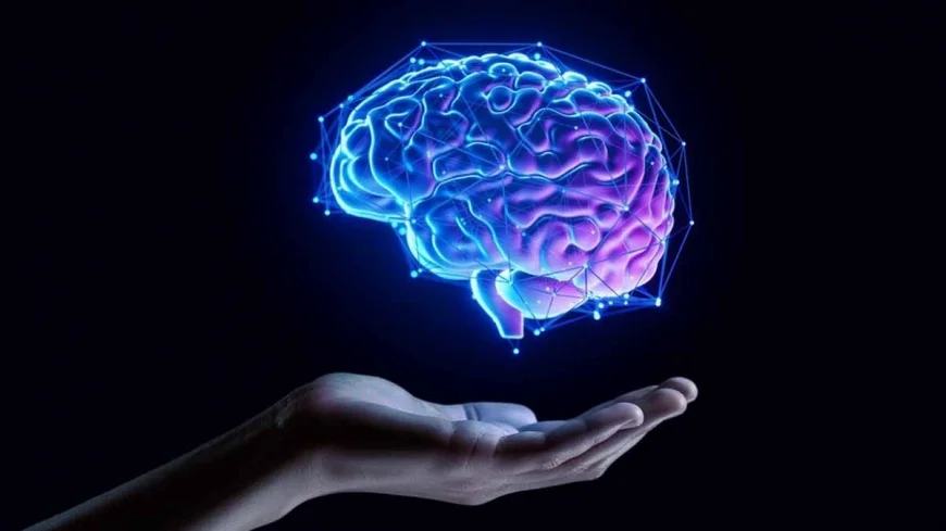 Beynimiz kendini 4 kez yenileniyor ve bunu 4 ayrı yaşta yapıyor! İşte beynin yenilendiği yaşlar