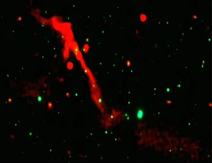 100 milyon yıldır uyuyordu... Uyanırken görüntülendi