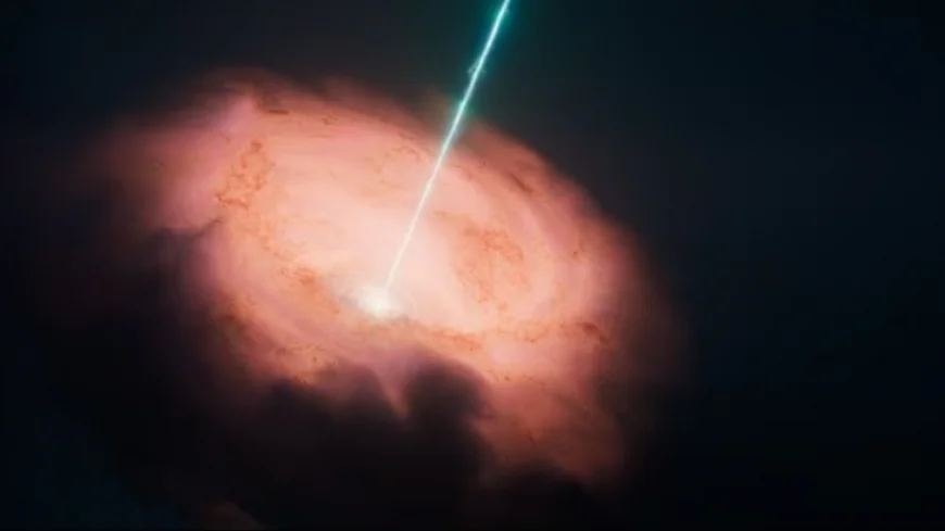 1990’lı yıllardan bu yana çözülemeyen gizem aydınlandı