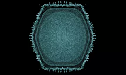 Gölette gizemli dev virüs bulundu: Yaşamın tarihi yeniden yazılıyor