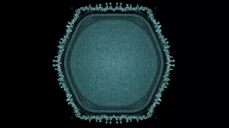 Gölette gizemli dev virüs bulundu: Yaşamın tarihi yeniden yazılıyor